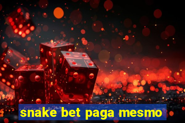 snake bet paga mesmo